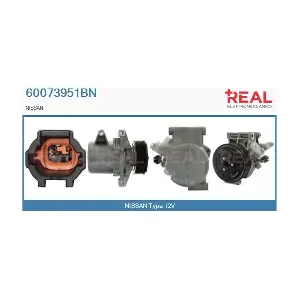 60073951BN REAL