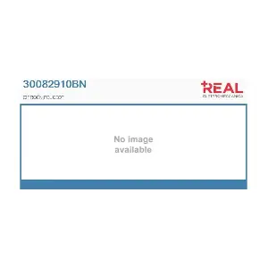 30082910BN REAL