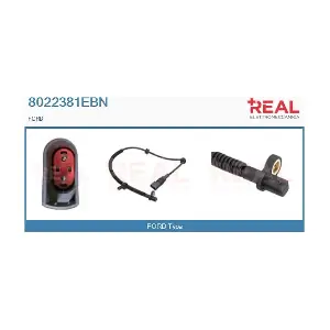 8022381EBN REAL