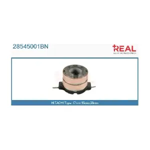 REAL 28545001BN