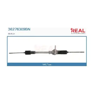 REAL 36276309BN