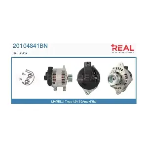 REAL 20104841BN