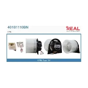40181110BN REAL