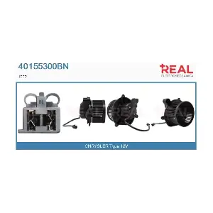 40155300BN REAL