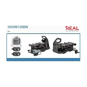 REAL 30089120BN