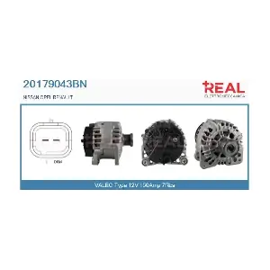 REAL 20179043BN