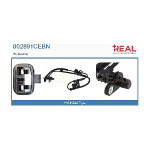 802891CEBN REAL