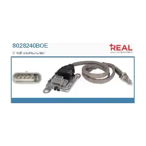 8028240BOE REAL