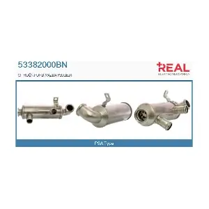 REAL 53382000BN