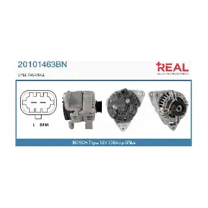 REAL 20101463BN