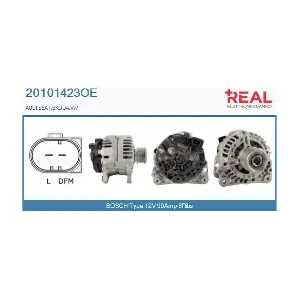 REAL 20101423OE