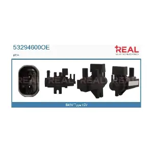 REAL 53294600OE