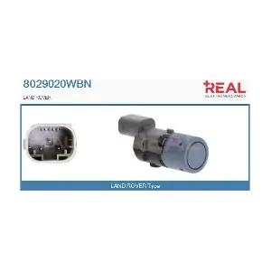 8029020WBN REAL