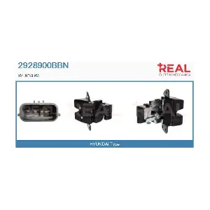 2928900BBN REAL