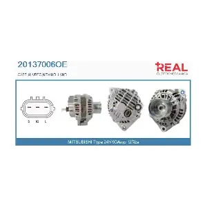 20137006OE REAL