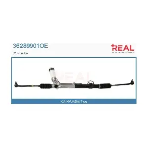 36289901OE REAL
