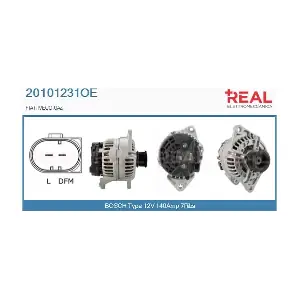 REAL 20101231OE