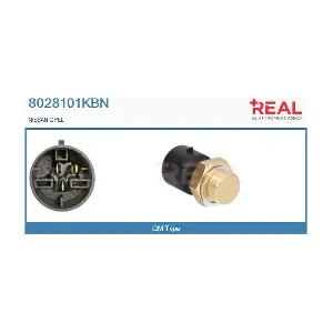 8028101KBN REAL