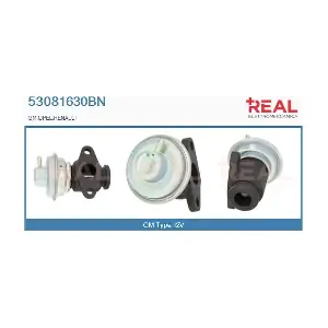 53081630BN REAL