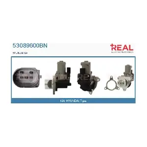 53089600BN REAL