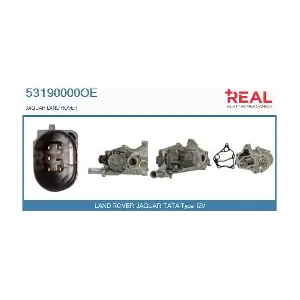 53190000OE REAL