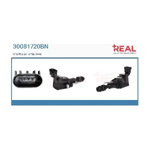 REAL 30081720BN