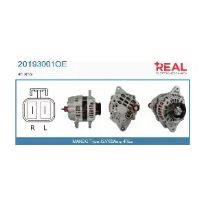 20193001OE REAL