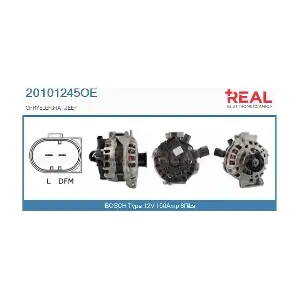 20101245OE REAL
