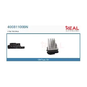 40081100BN REAL
