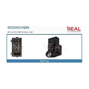 8029431ABN REAL