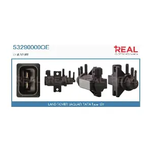 53290000OE REAL