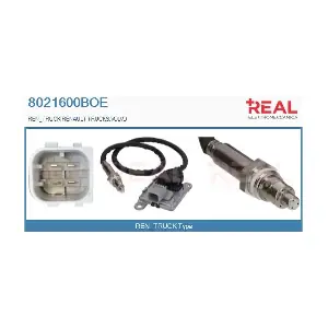 8021600BOE REAL