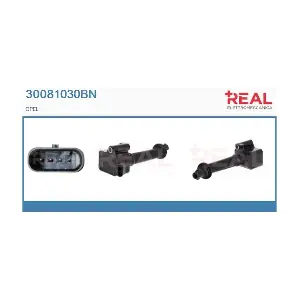 30081030BN REAL