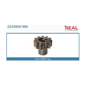 22409501BN REAL