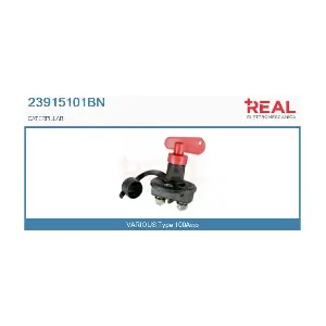 23915101BN REAL