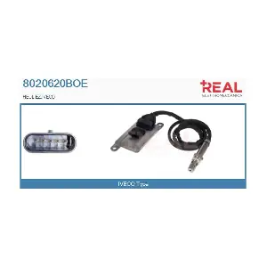 8020620BOE REAL