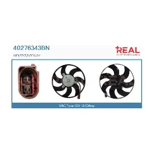 REAL 40276343BN
