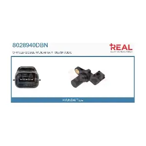 8028940DBN REAL