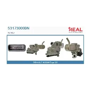 REAL 53173000BN