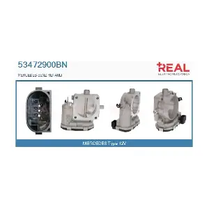53472900BN REAL