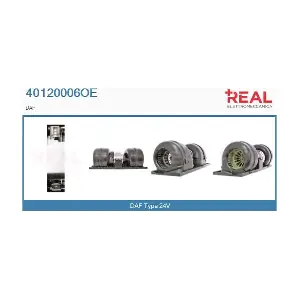 REAL 40120006OE