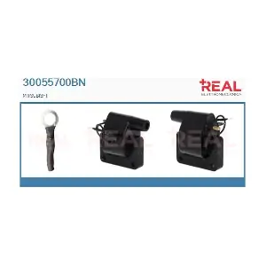 30055700BN REAL