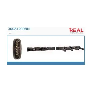 30081200BN REAL
