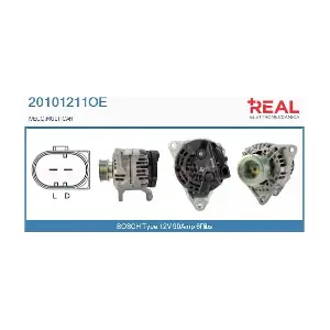 REAL 20101211OE