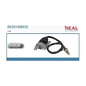 8028140BOE REAL