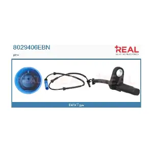 8029406EBN REAL