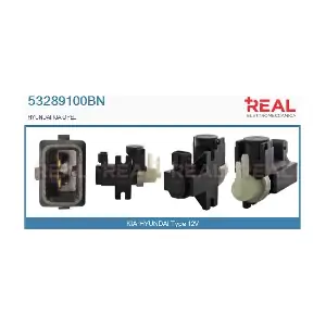 REAL 53289100BN