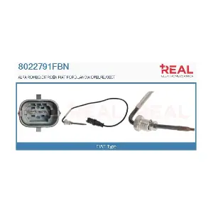 8022791FBN REAL