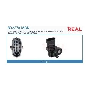 REAL 8022781ABN
