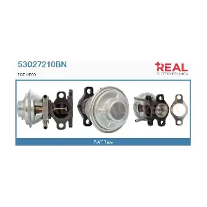 REAL 53027210BN